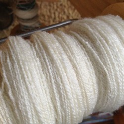 NewZealand Merino Wool _0157